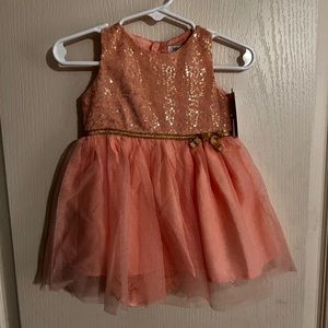 Carters dress NWT